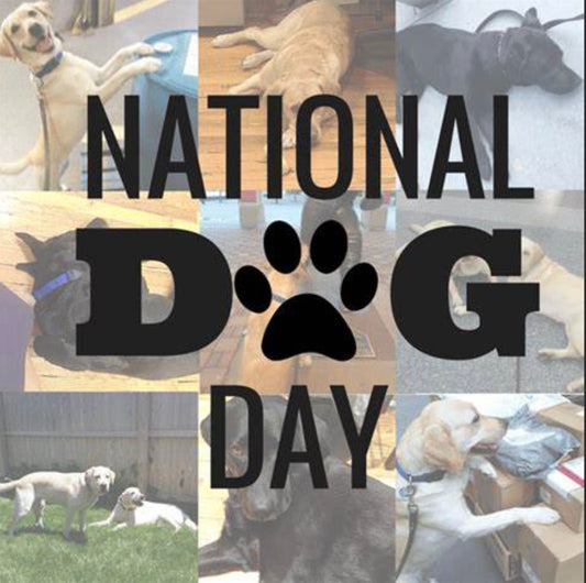 🐾 Celebrate National Dog Day with CORE K9! 🐾