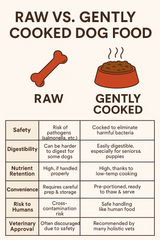 Raw vs. Gently Cooked Dog Food: Which Is Better for Your Dog?