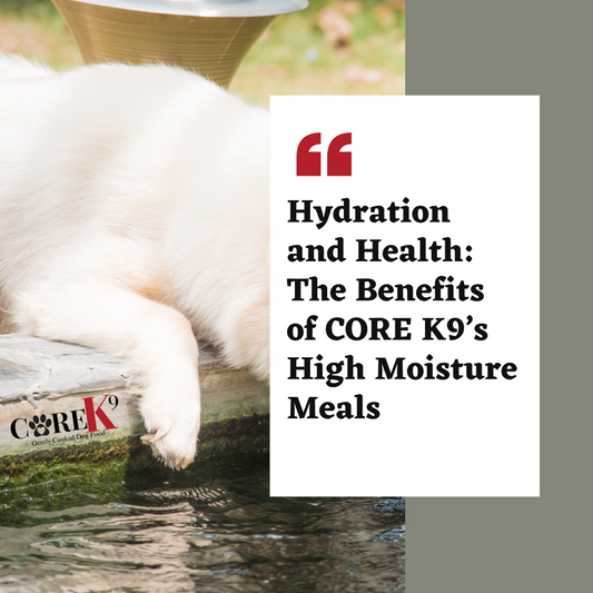 Hydration and Health: The Benefits of CORE K9’s High Moisture Meals