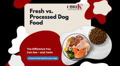The Ultimate Guide to Gently Cooked Dog Food: Why It's Superior to Kibble