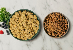 GENTLY COOKED VS. KIBBLE: UNRAVELING THE MYSTERY BEHIND DOG FOOD CHOICES