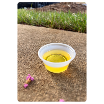 Thrive Well — Premium Omega-3 Oil for Dogs
