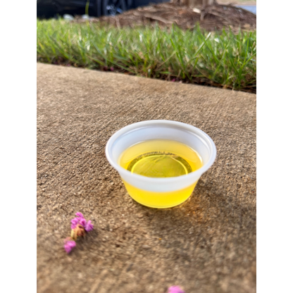 Thrive Well — Premium Omega-3 Oil for Dogs