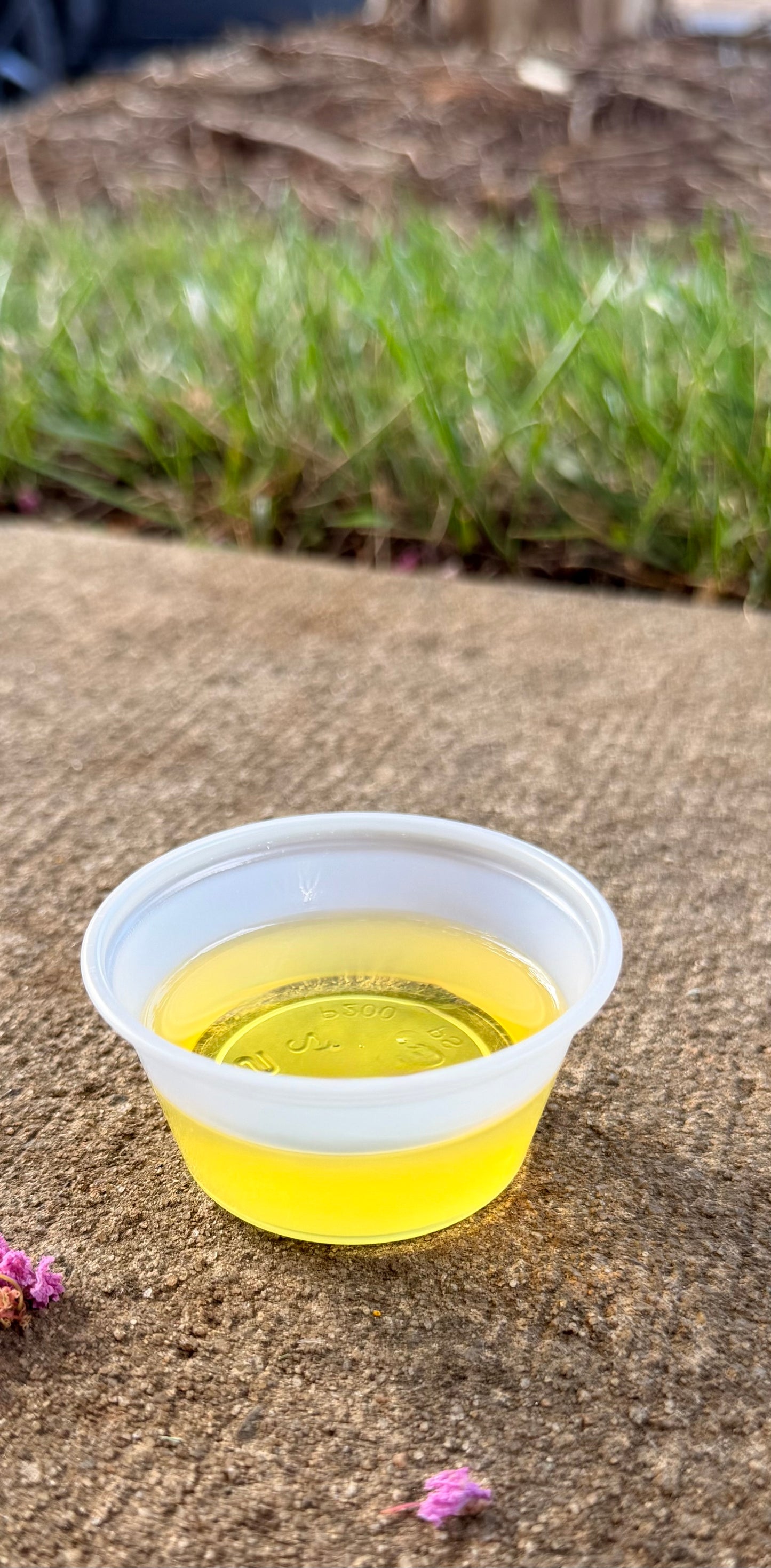 Thrive Well — Premium Omega-3 Oil for Dogs